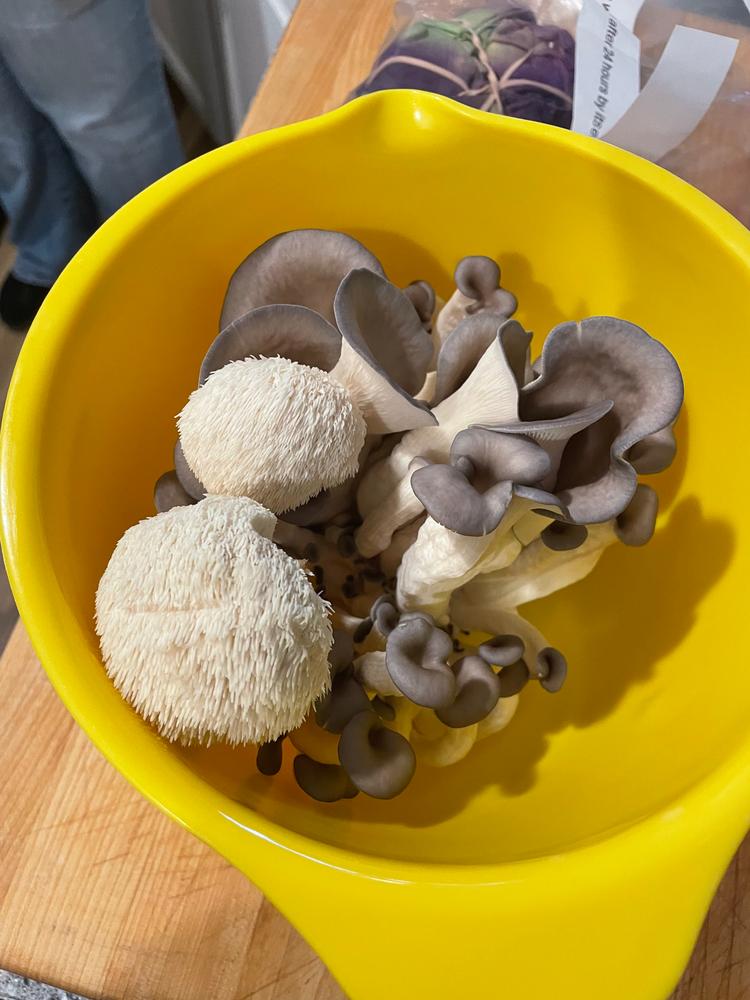 Organic Blue Oyster Mushroom Grow Kit Fruiting Block - Customer Photo From John Madjeski