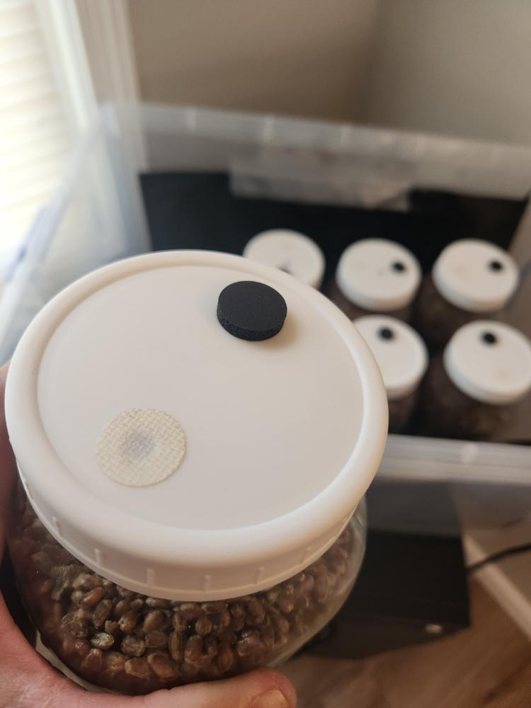Adhesive 0.22 Micron Filters for Culture Jar Lids - Customer Photo From Cory Younger