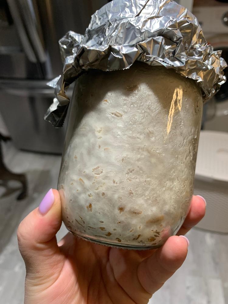Golden Oyster Mushroom Liquid Culture Syringe - Customer Photo From Alexandra Skakouski 
