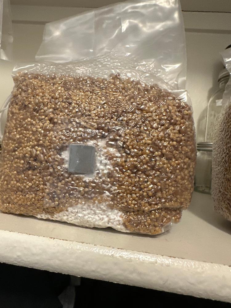 8-Pack Organic Sterilized Grain Spawn Bags - Customer Photo From Charles Huffman