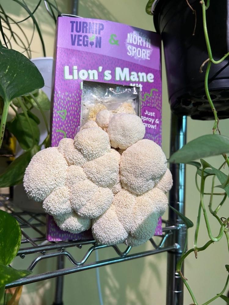 Turnip Vegan Organic Lion