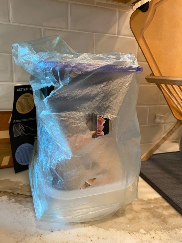 Organic Pink Oyster ‘Spray & Grow’ Mushroom Growing Kit - Customer Photo From Kathy Murphy