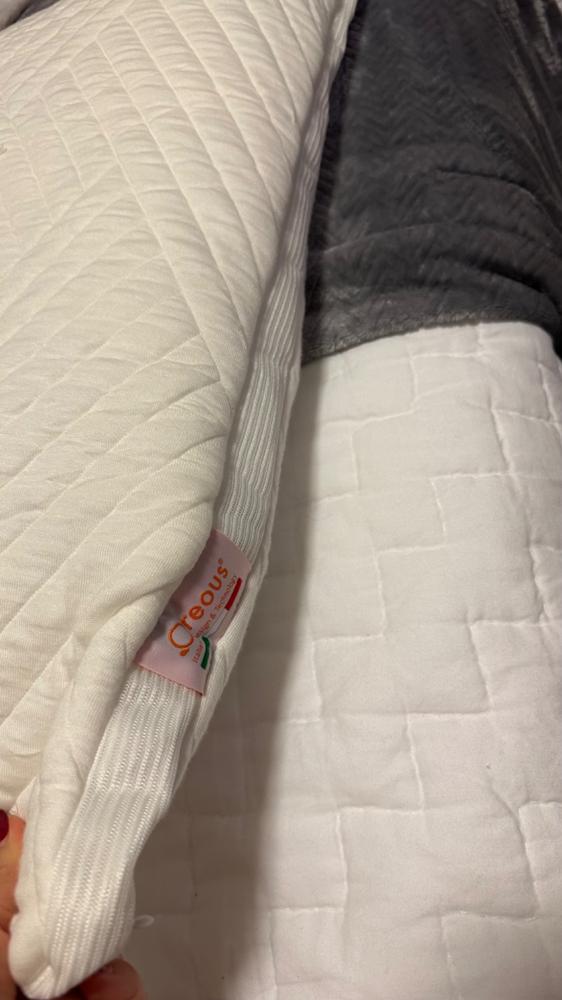Oreous® Pillow 2.0 - Customer Photo From Mary Ghadir