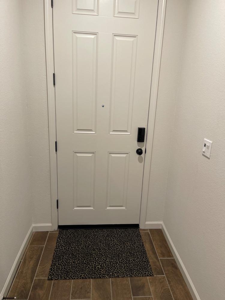 The Insider - Wild Side (Sable) / Doormat - Customer Photo From Olivia Rains