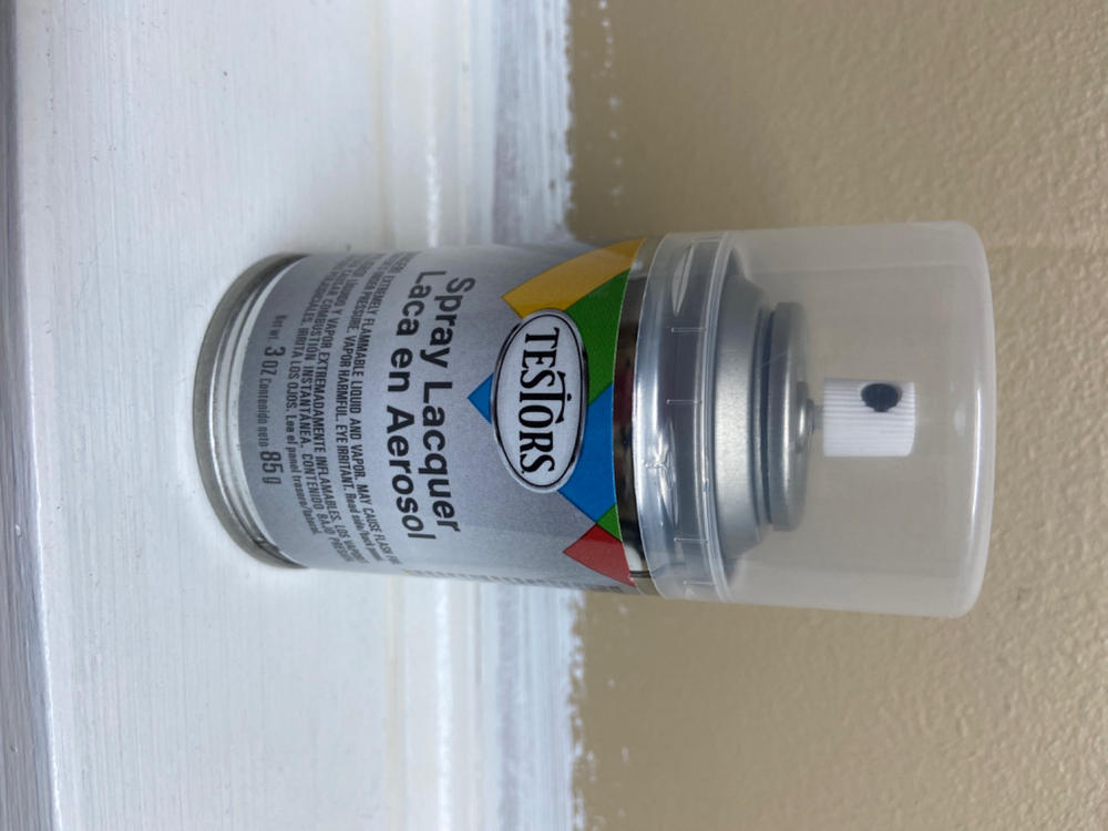 Testors Enamel Spray Paint 1261 Glosscote