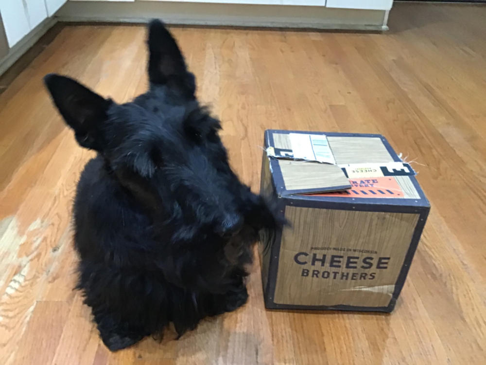 Wisconsin Cheese Curds *Ships Fresh Daily* - Customer Photo From Kathleen Foley
