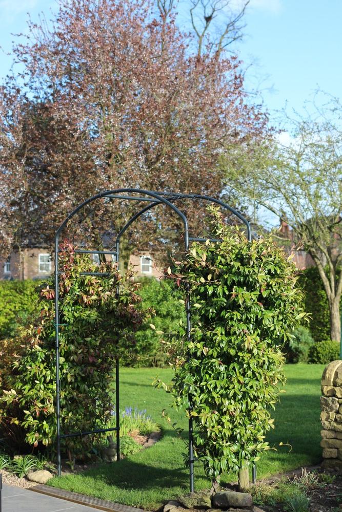 Monet Arch - Customer Photo From Philip R.