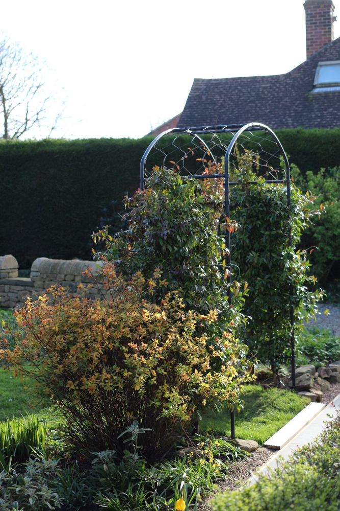 Monet Arch - Customer Photo From Philip R.