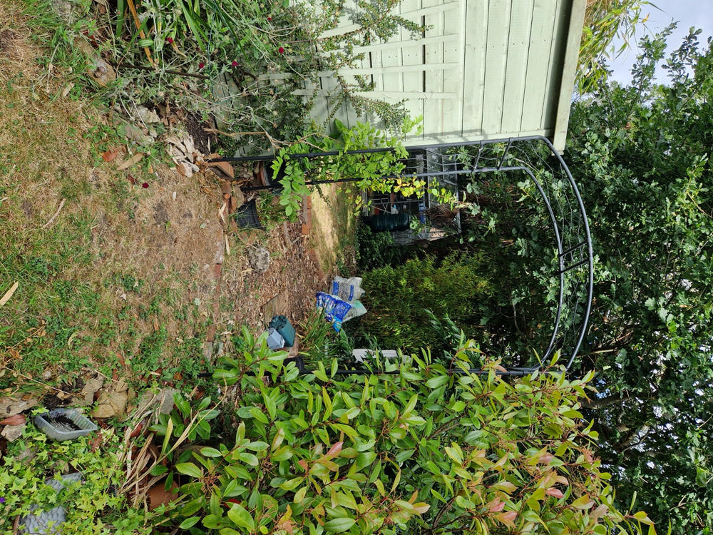 Monet Arch - Customer Photo From Andrew T.