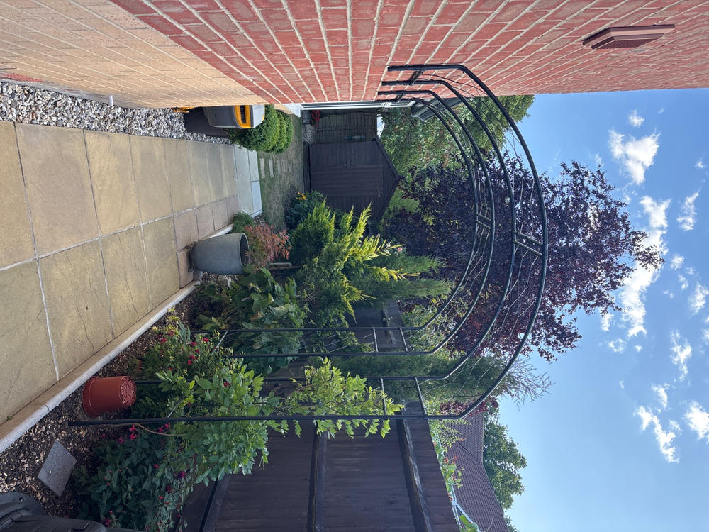 Wall Arch - Customer Photo From Suzanne J.