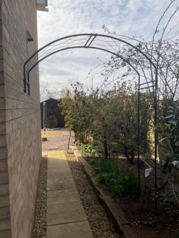 Wall Arch - Customer Photo From Paul M.
