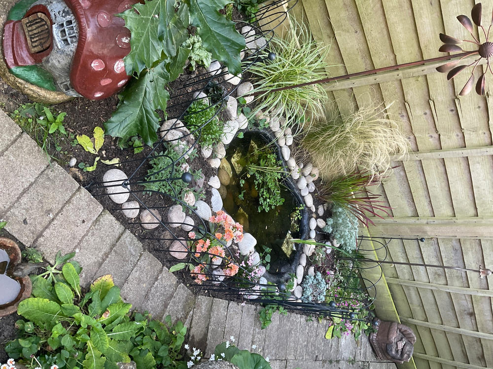 Round Lawn & Border Edging - 3 Pack - Customer Photo From Elissa D.