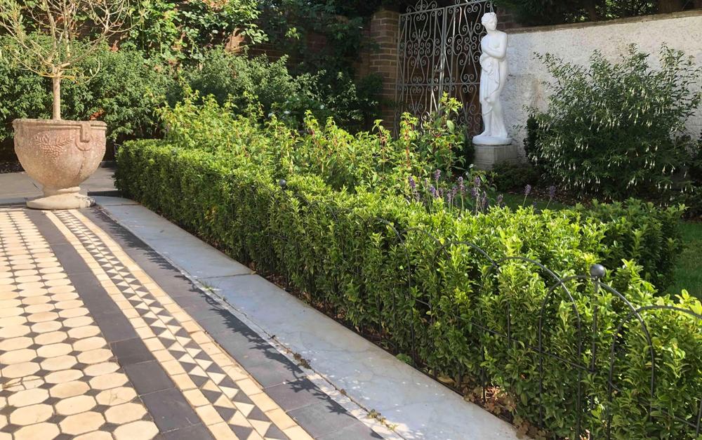Round Lawn & Border Edging - 3 Pack - Customer Photo From Michael K.