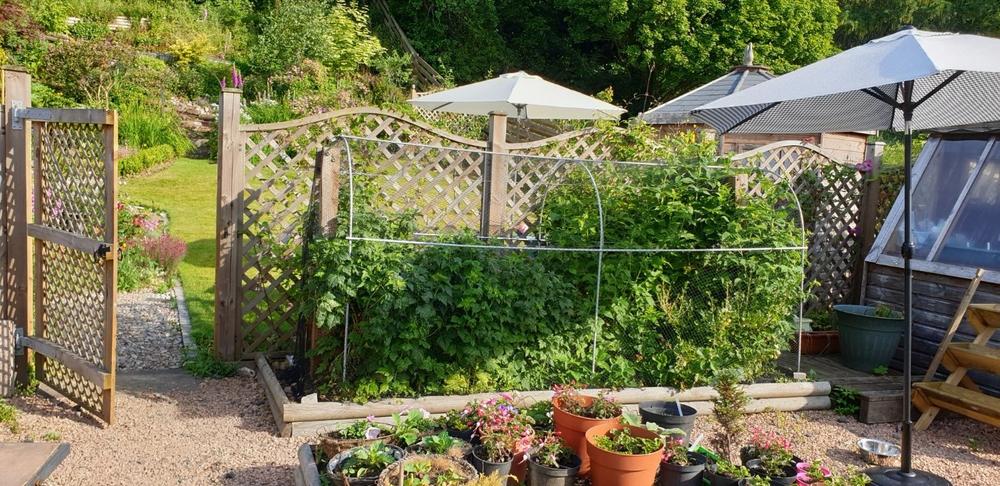Elegance Long Fruit Cage - Customer Photo From Morag C.
