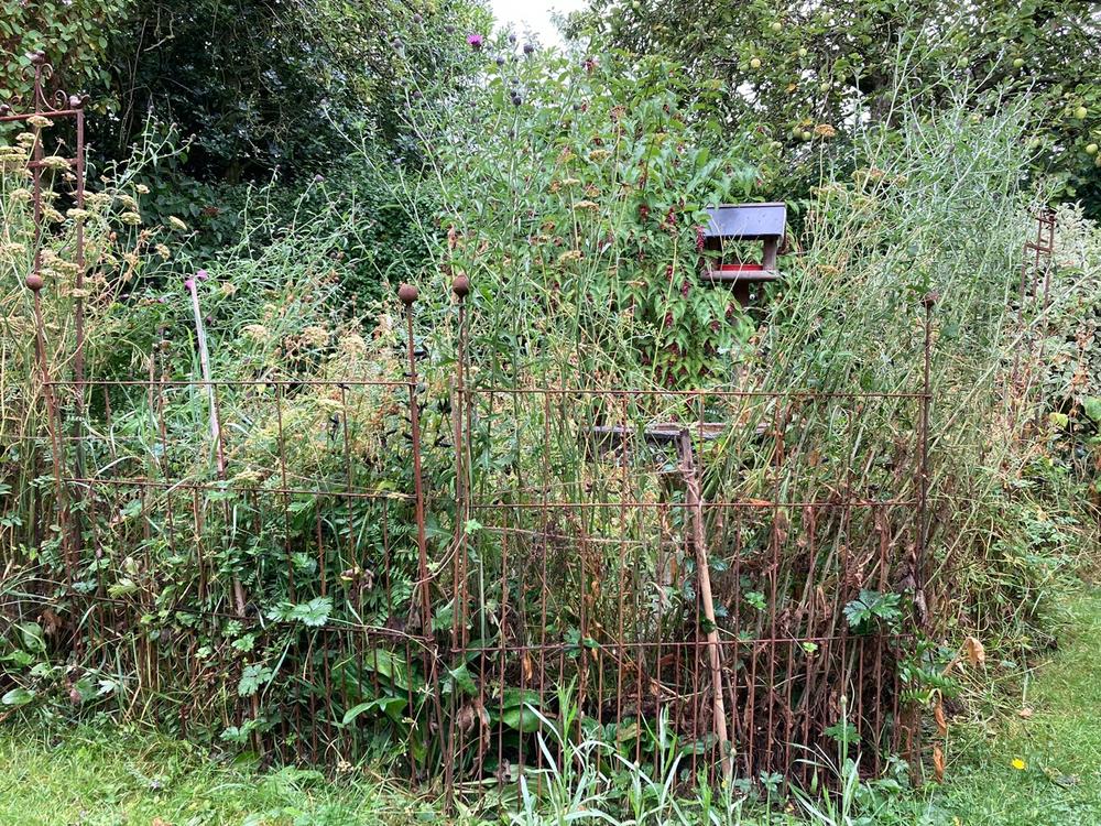 Elegance Pea & Pest Fence - Customer Photo From Robbie B.