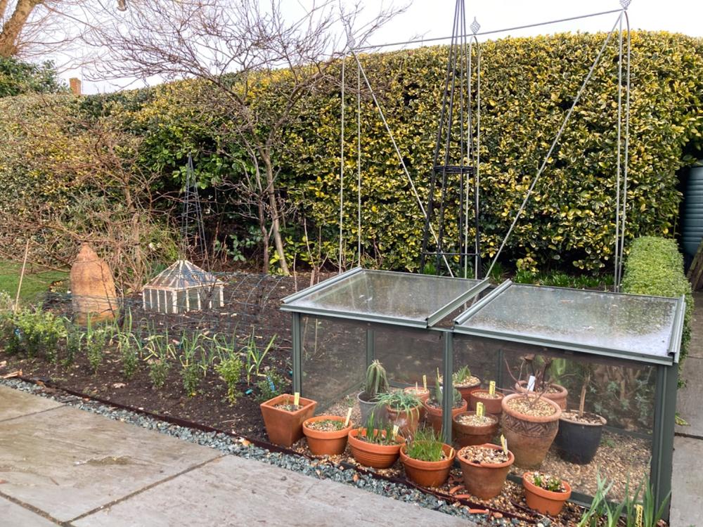 Elegance Runner Bean Frame - Customer Photo From David L.