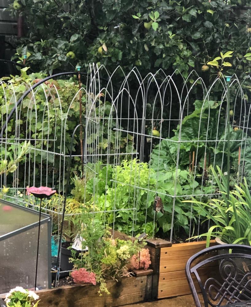 Elegance Pea Frame - Customer Photo From Kelsie H.