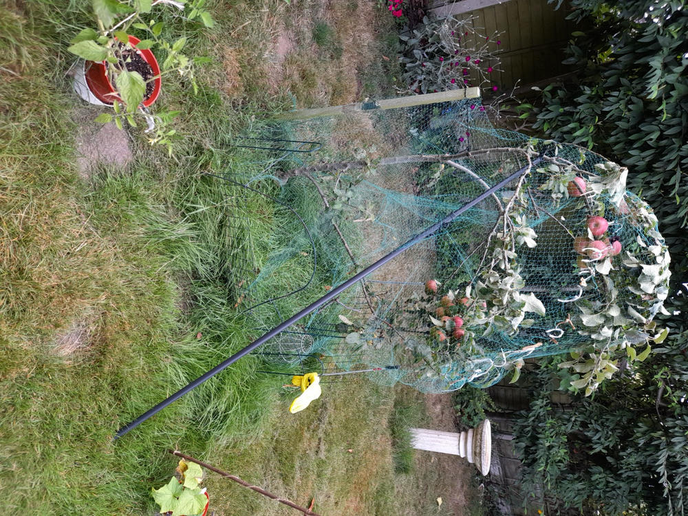 Fruit Branch Support - Customer Photo From David P.