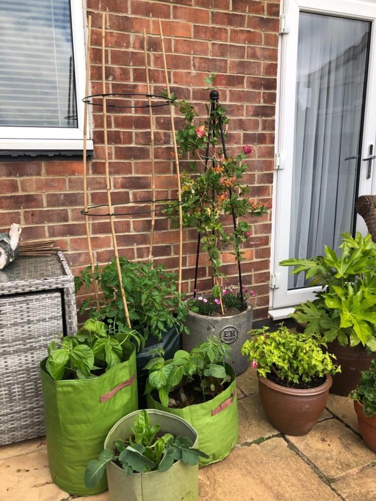 Cane Rings - Pack of 2 - Customer Photo From Kathleen C.