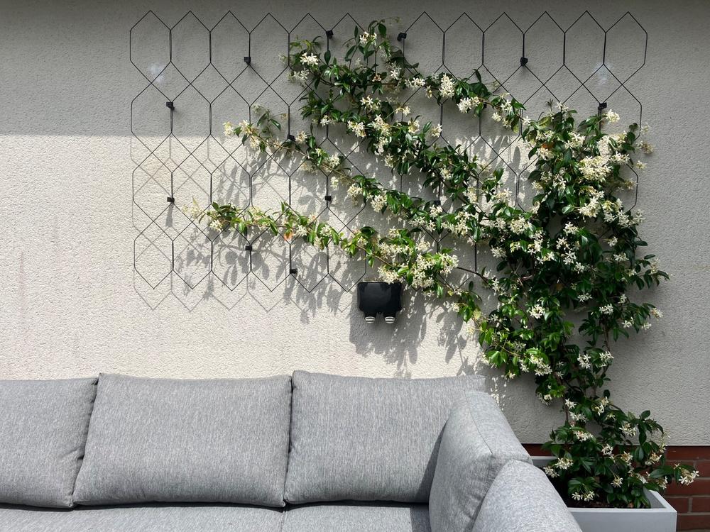 Lattice Wall Trellis - Customer Photo From Anne B.