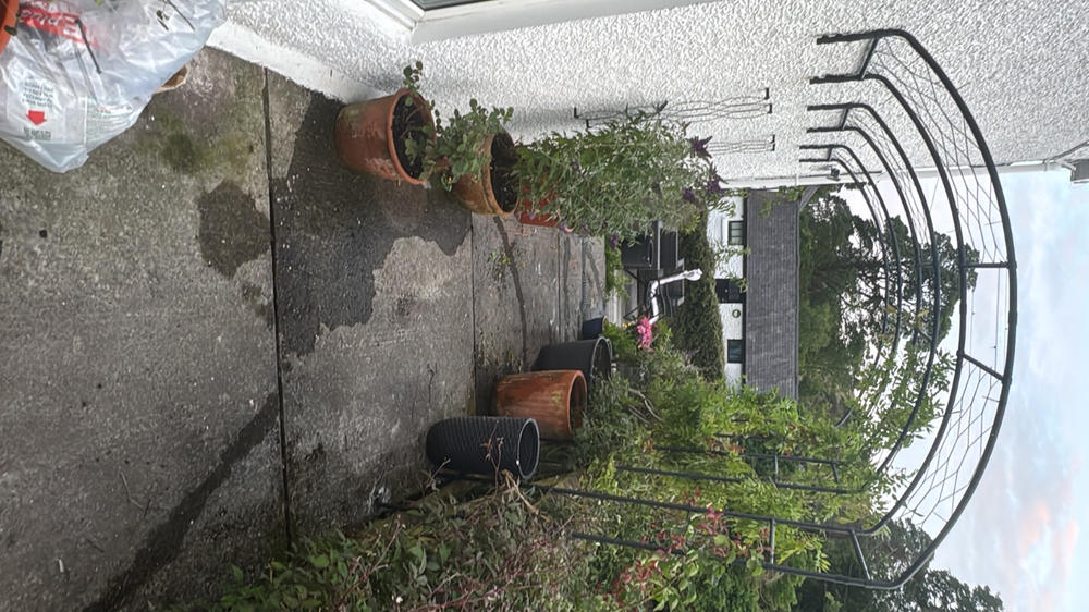 Lattice Wall Trellis - Customer Photo From P R.