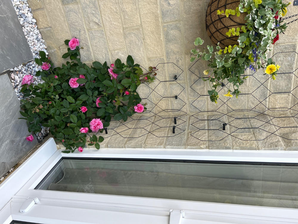 Lattice Wall Trellis - Customer Photo From Janet S.