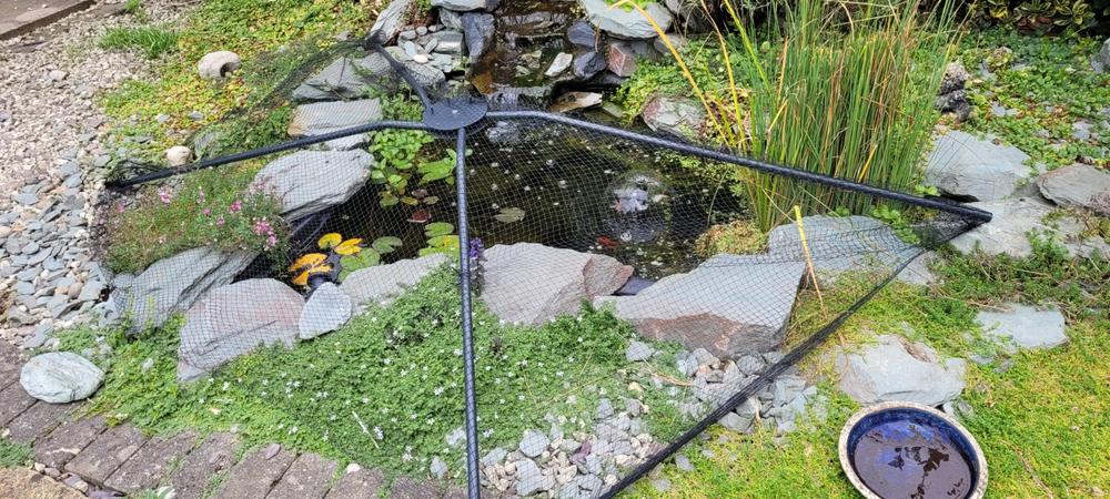 Universal Pond Cover - Customer Photo From Gillian E.