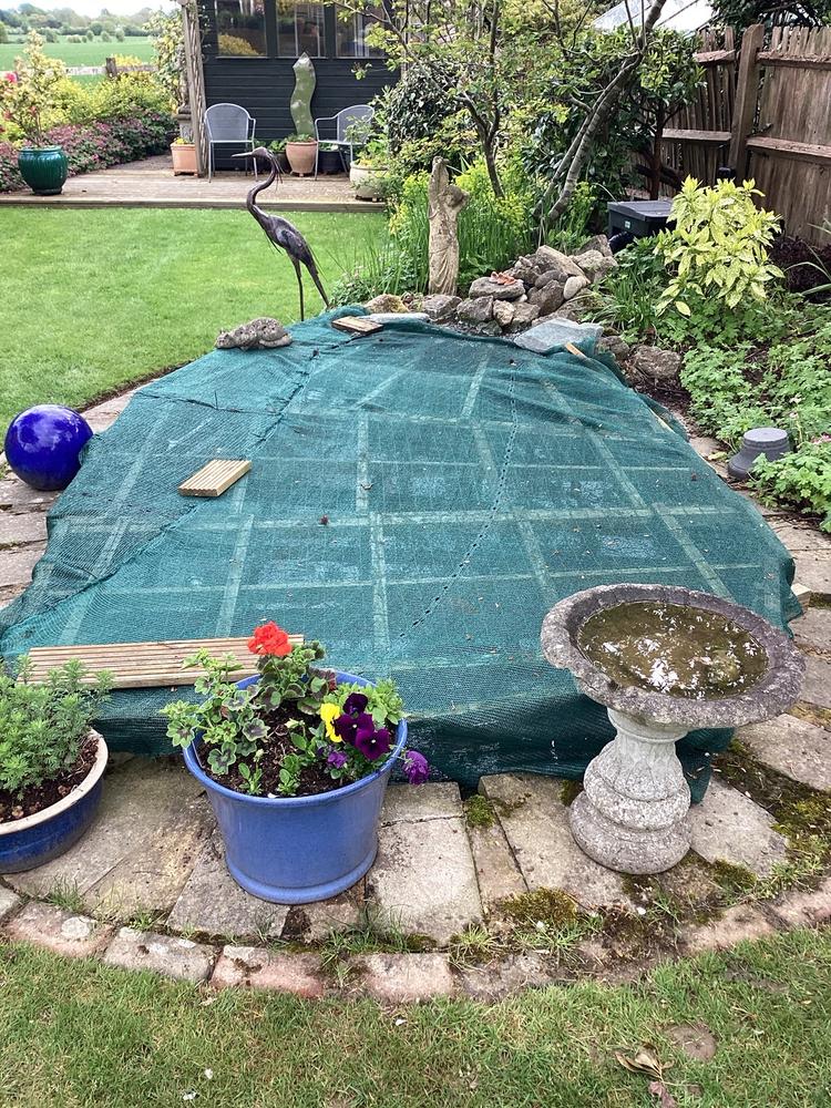 Universal Pond Cover - Customer Photo From Peter B.