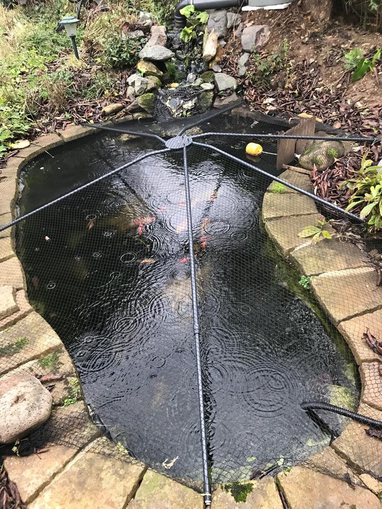 Universal Pond Cover - Customer Photo From Penny P.