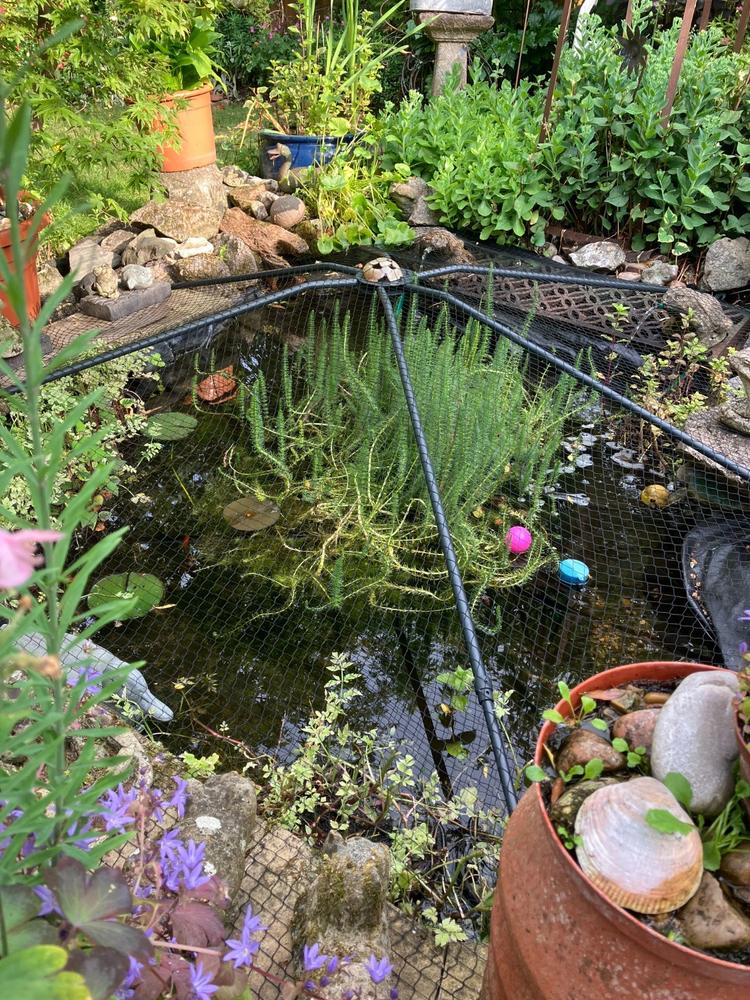 Universal Pond Cover - Customer Photo From Tracey L.