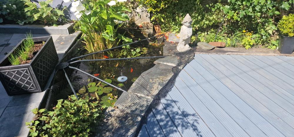 Universal Pond Cover - Customer Photo From Paul B.