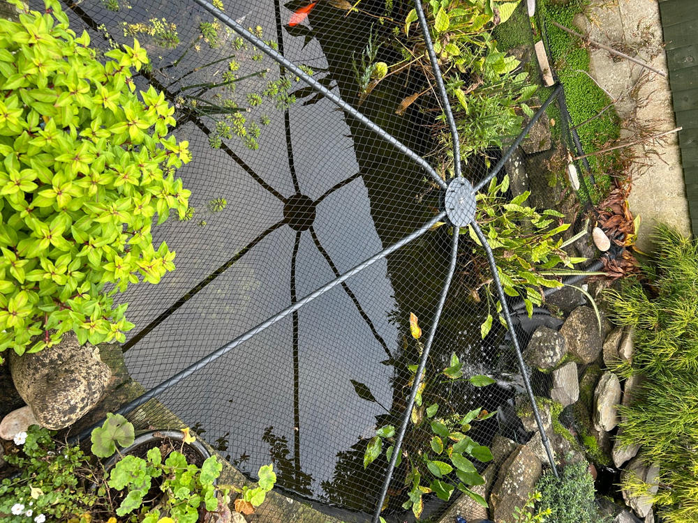 Universal Pond Cover - Customer Photo From Christopher C.