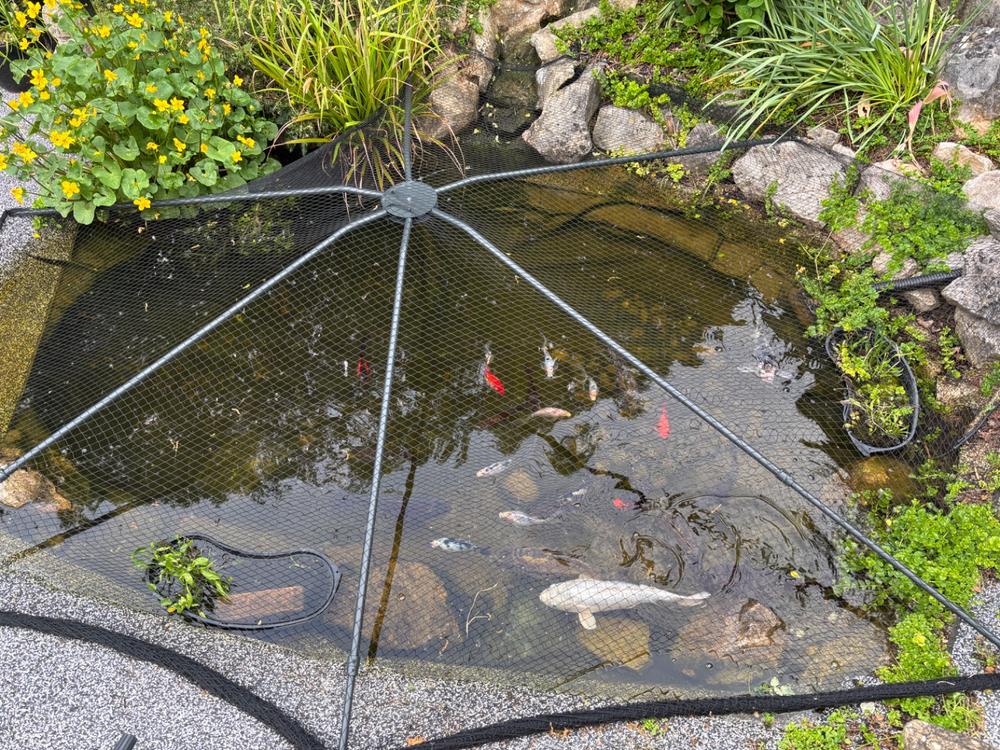 Universal Pond Cover - Customer Photo From Andrew F.