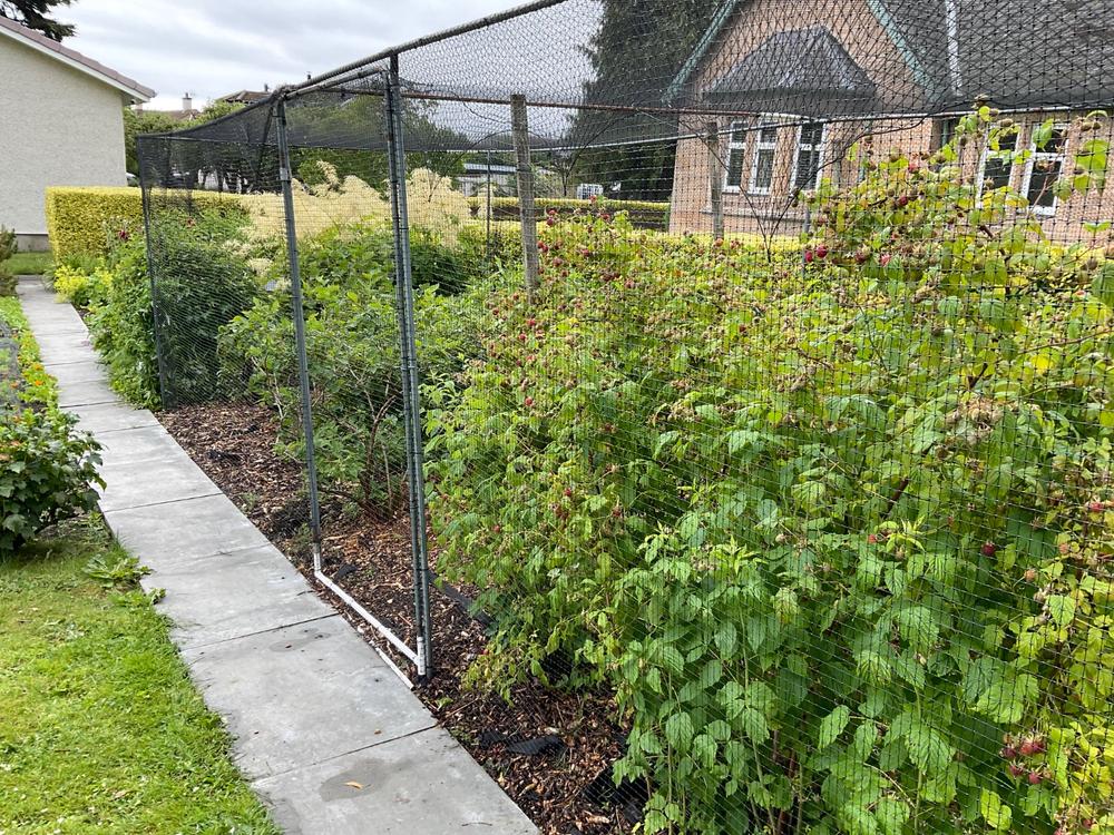 Netting Fixtures - Customer Photo From Edith C.