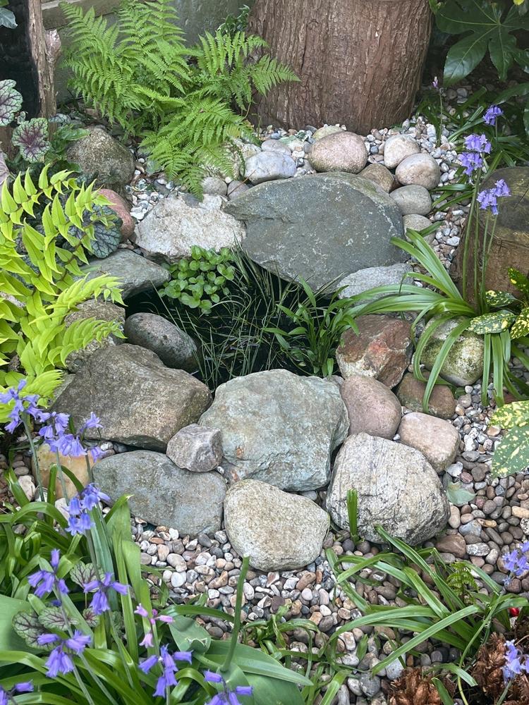 Pond Pockets, Pack of 5 - Customer Photo From Helen R.