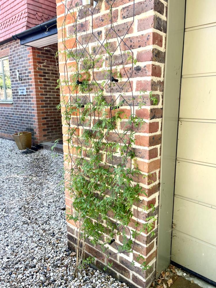 Lattice Wall Trellis - Gloss Black - Customer Photo From G R.