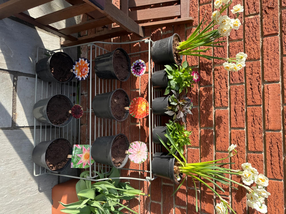 Elegance Tiered Plant Stand - Customer Photo From Janette J.