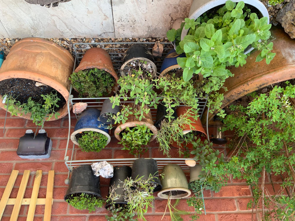 Elegance Tiered Plant Stand - Customer Photo From Raymond W.