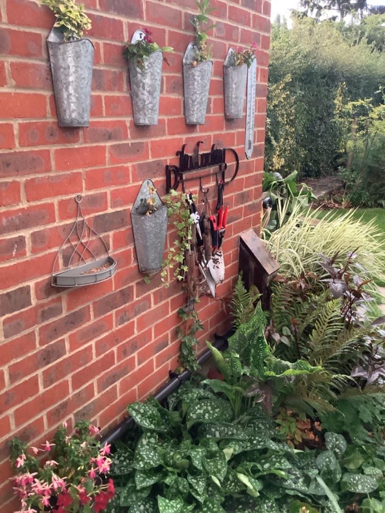 Elegance Wall Bird Feeder - Customer Photo From Louise D.