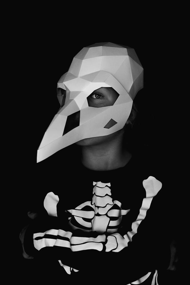 Bird Skull Mask - Customer Photo From Rebecca Wallace