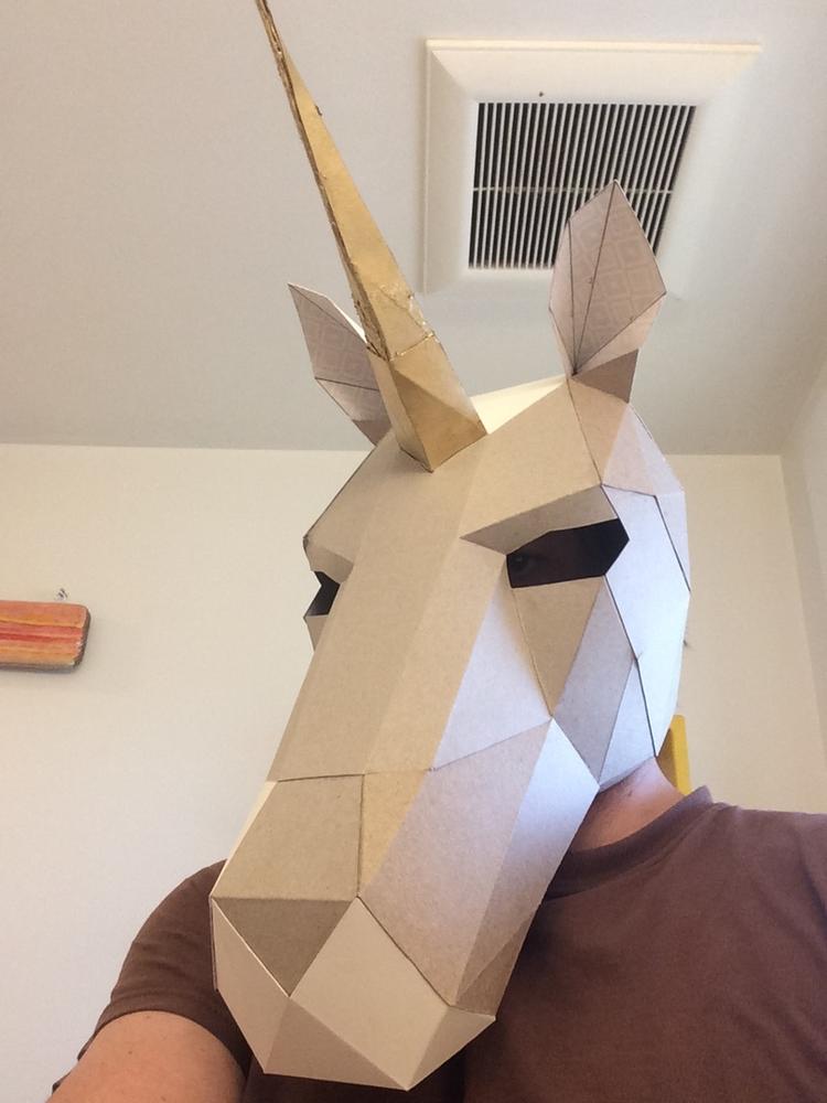 Unicorn Mask - Customer Photo From Brett T.