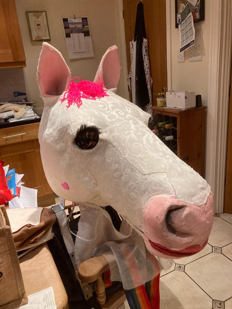 Unicorn Mask - Customer Photo From Pete Fry