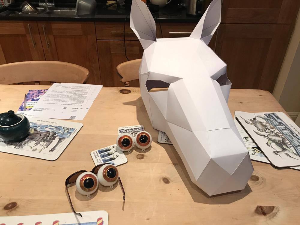 Unicorn Mask - Customer Photo From Pete Fry