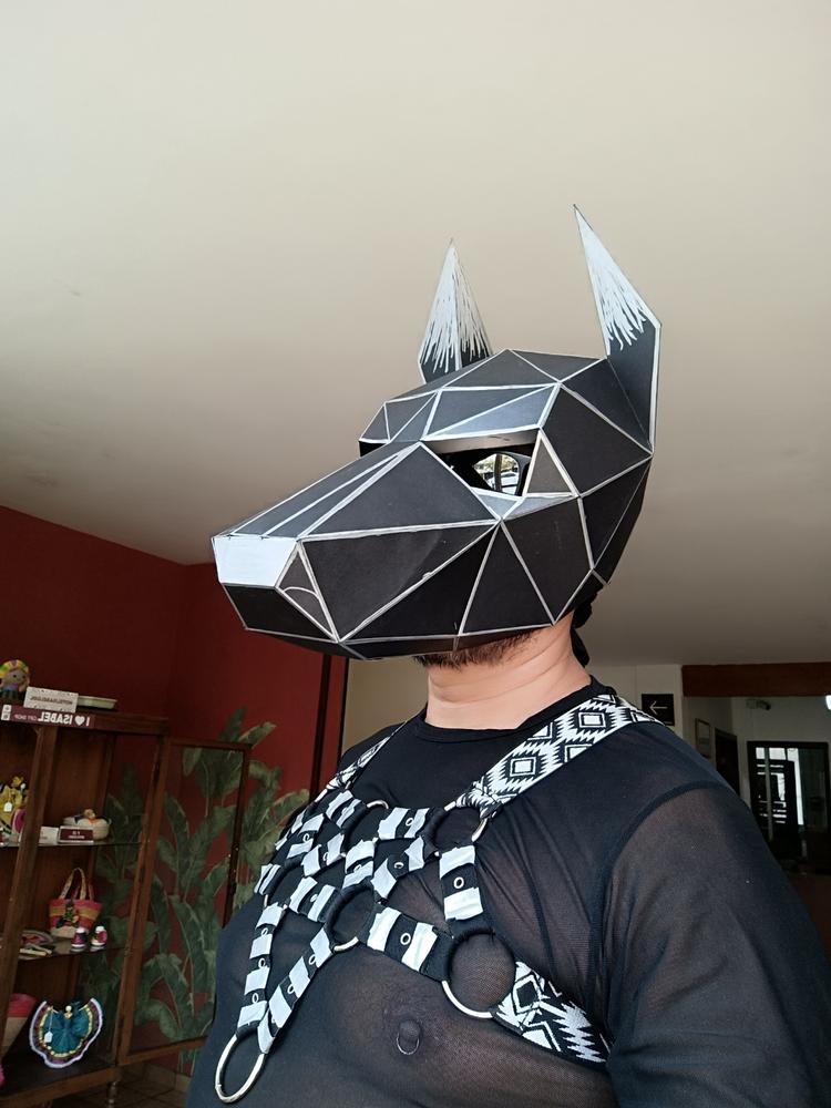 Doberman Dog Mask - Customer Photo From Luis Aguirre