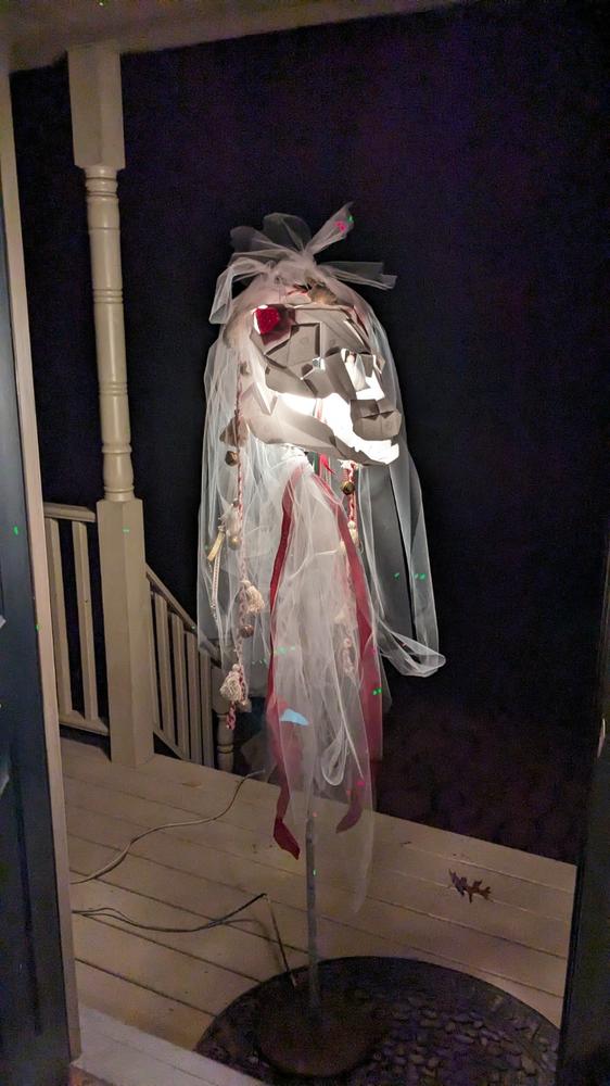 Horse Skull for Halloween and Mari Lwyd - Customer Photo From Carolyn Caruso