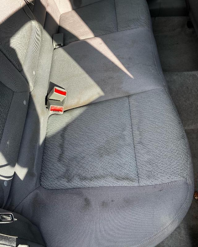 Carpet & Upholstery Cleanser - 32 oz - Customer Photo From Andrew Drake