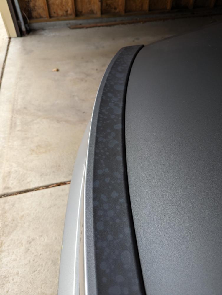 Matte Paint Cleanser - Customer Photo From Aaron G