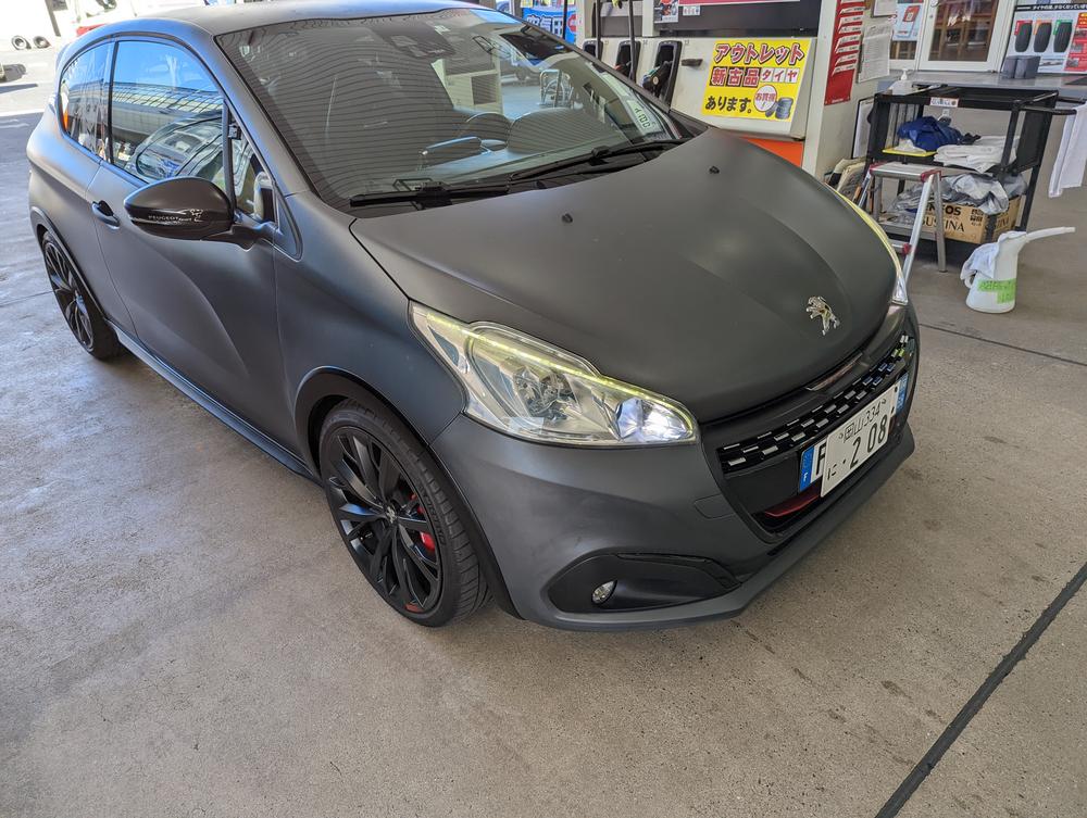 Matte Paint Coating - Customer Photo From AceHunting