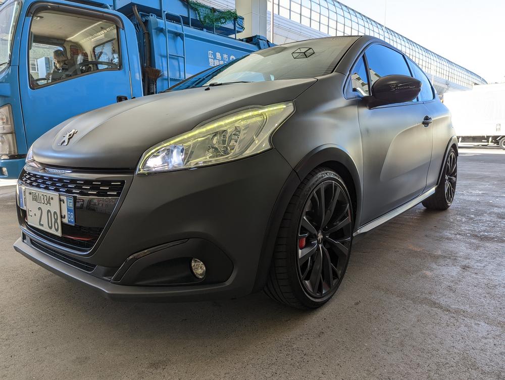 Matte Paint Coating - Customer Photo From AceHunting