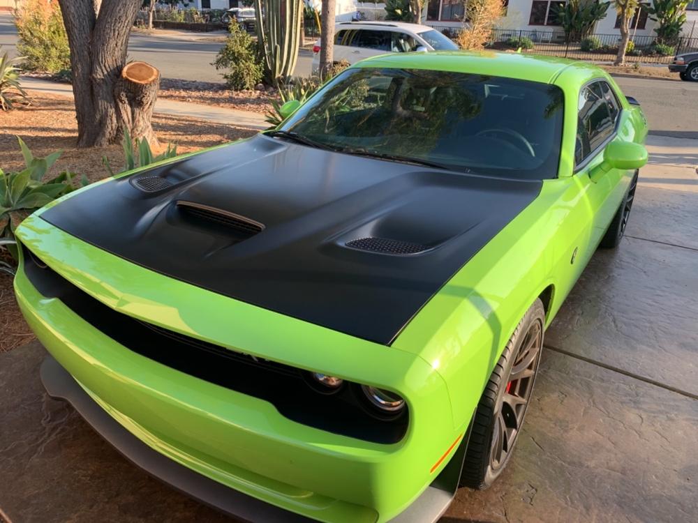 Matte Final Finish - 12 oz - Customer Photo From Matt Domen